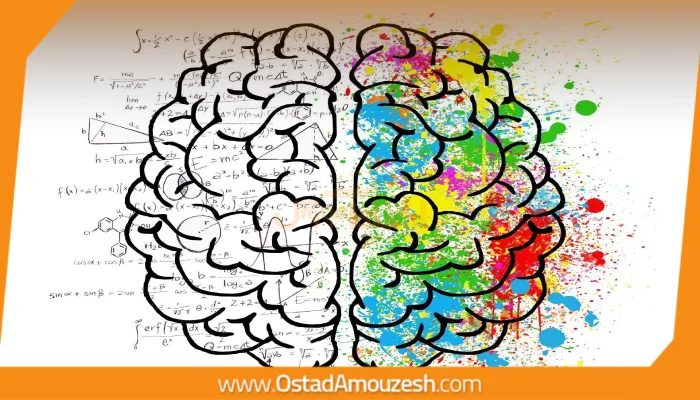 سیستم پاداش: فعال‌سازی مکانیسم لذت در مغز